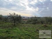 Terreno R�stico T0 - Vale Gouvinhas, Mirandela, Bragan�a - Miniatura: 7/15