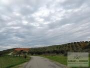 Terreno R�stico T0 - Vale Gouvinhas, Mirandela, Bragan�a - Miniatura: 2/15