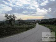 Terreno R�stico T0 - Vale Gouvinhas, Mirandela, Bragan�a - Miniatura: 3/15