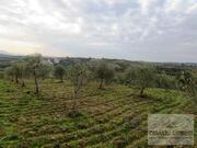 Terreno R�stico T0 - Vale Gouvinhas, Mirandela, Bragan�a - Miniatura: 4/15