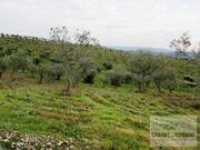 Terreno R�stico T0 - Vale Gouvinhas, Mirandela, Bragan�a - Miniatura: 10/15