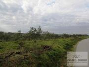 Terreno R�stico T0 - Vale Gouvinhas, Mirandela, Bragan�a - Miniatura: 11/15