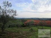 Terreno R�stico T0 - Vale Gouvinhas, Mirandela, Bragan�a - Miniatura: 15/15