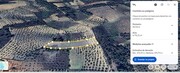 Terreno R�stico T0 - Vale Gouvinhas, Mirandela, Bragan�a - Miniatura: 2/4
