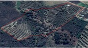Terreno Rstico T0 - Mirandela, Mirandela, Bragana - Miniatura: 2/4