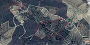 Terreno Rstico T0 - Mirandela, Mirandela, Bragana - Miniatura: 4/4