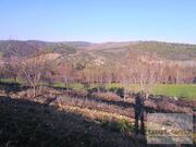 Quinta T0 - Mirandela, Mirandela, Bragana - Miniatura: 9/18