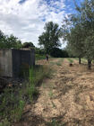 Terreno Rstico T0 - No Definido, Vila Flor, Bragana - Miniatura: 3/5
