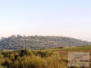 Quinta T0 - Mirandela, Mirandela, Bragan�a - Miniatura: 10/18