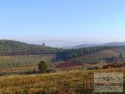 Quinta T0 - Mirandela, Mirandela, Bragan�a - Miniatura: 12/18