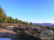 Quinta T0 - Mirandela, Mirandela, Bragan�a - Miniatura: 13/18