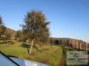 Quinta T0 - Mirandela, Mirandela, Bragan�a - Miniatura: 14/18