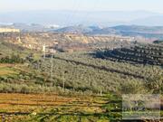 Quinta T0 - Mirandela, Mirandela, Bragan�a - Miniatura: 15/18