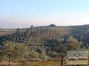 Quinta T0 - Mirandela, Mirandela, Bragan�a - Miniatura: 16/18