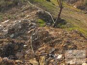 Quinta T0 - Mirandela, Mirandela, Bragan�a - Miniatura: 17/18