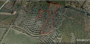 Terreno R�stico T0 - N�o Definido, Vila Flor, Bragan�a - Miniatura: 5/5