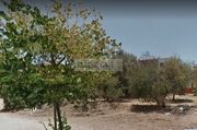 Terreno Urbano T0 - Almancil, Loul, Faro (Algarve) - Miniatura: 2/3
