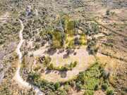 Terreno R�stico - Vila Cort�s do Mondego, Guarda, Guarda - Miniatura: 1/5
