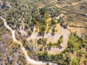 Terreno R�stico - Vila Cort�s do Mondego, Guarda, Guarda - Miniatura: 2/5