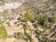 Terreno R�stico - Vila Cort�s do Mondego, Guarda, Guarda - Miniatura: 4/5