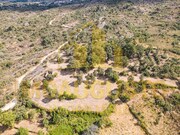 Terreno R�stico - Vila Cort�s do Mondego, Guarda, Guarda - Miniatura: 5/5