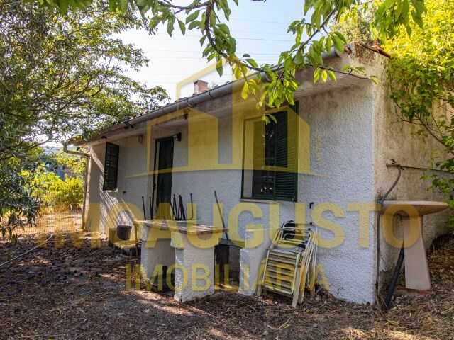 Quinta T1 - Jo�o Ant�o, Guarda, Guarda - Imagem grande