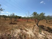 Moradia T1 - Baraal, Celorico da Beira, Guarda - Miniatura: 5/6