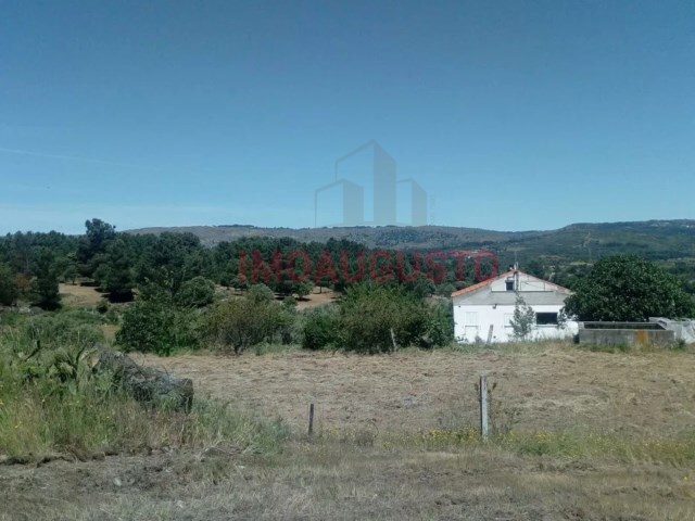 Quinta T4 - Maçal do Chão, Celorico da Beira, Guarda - Imagem grande