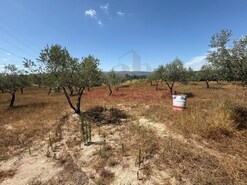 Terreno Rstico - Baraal, Celorico da Beira, Guarda