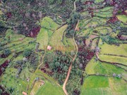 Quinta - Vale de Azares, Celorico da Beira, Guarda - Miniatura: 3/4