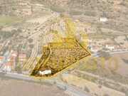 Moradia - Vascoveiro, Pinhel, Guarda - Miniatura: 2/9