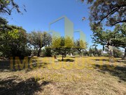 Terreno R�stico - Minhocal, Celorico da Beira, Guarda - Miniatura: 1/3