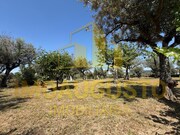 Terreno R�stico - Minhocal, Celorico da Beira, Guarda - Miniatura: 2/3