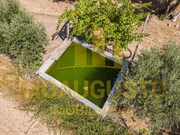 Terreno R�stico - Minhocal, Celorico da Beira, Guarda - Miniatura: 5/9