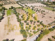 Terreno R�stico - Minhocal, Celorico da Beira, Guarda - Miniatura: 6/9