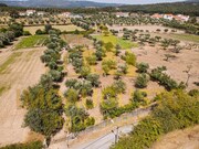 Terreno R�stico - Minhocal, Celorico da Beira, Guarda - Miniatura: 7/9