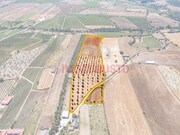 Moradia T5 - Vermiosa, Figueira de Castelo Rodrigo, Guarda - Miniatura: 2/9