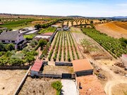 Moradia T5 - Vermiosa, Figueira de Castelo Rodrigo, Guarda - Miniatura: 5/9