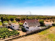 Moradia T5 - Vermiosa, Figueira de Castelo Rodrigo, Guarda - Miniatura: 8/9