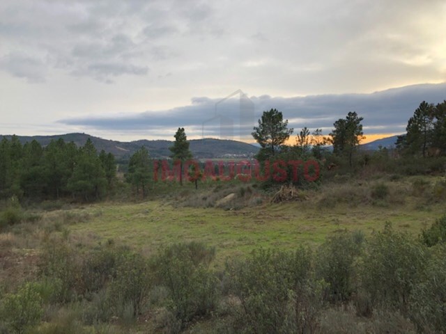 Terreno R�stico - Vela, Guarda, Guarda - Imagem grande