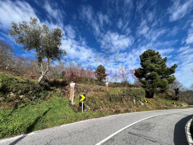 Terreno Rústico - Trinta, Guarda, Guarda - Imagem grande