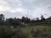 Terreno R�stico - Vela, Guarda, Guarda - Miniatura: 2/9