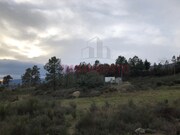 Terreno R�stico - Vela, Guarda, Guarda - Miniatura: 4/9