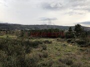 Terreno R�stico - Vela, Guarda, Guarda - Miniatura: 6/9