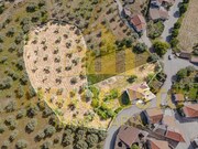 Moradia T4 - Valdujo, Trancoso, Guarda - Miniatura: 1/9