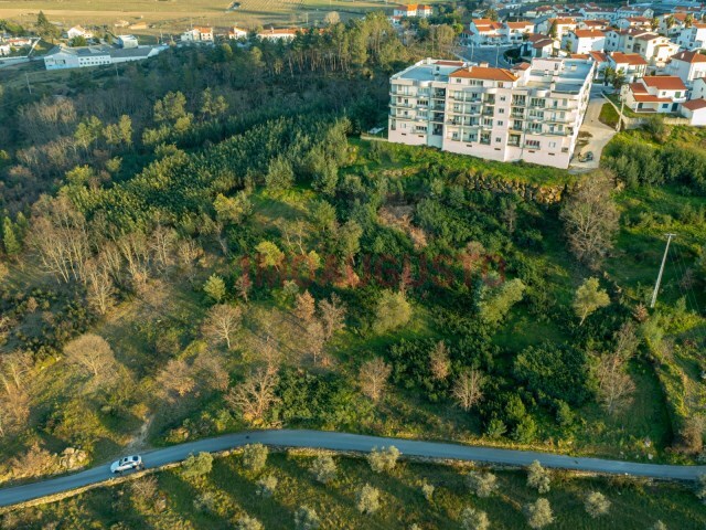 Terreno R�stico - Belmonte e Colmeal da Torre, Belmonte, Castelo Branco - Imagem grande