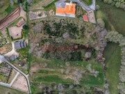 Terreno R�stico - Guarda, Guarda, Guarda - Miniatura: 3/3