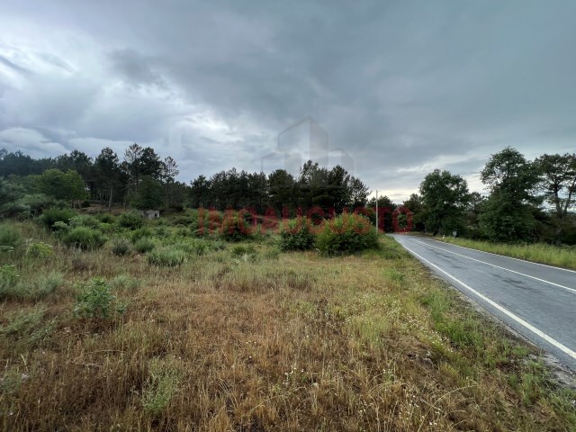 Terreno R�stico - Santana da Azinha, Guarda, Guarda - Imagem grande