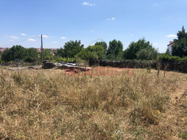 Terreno R�stico - Vilar Formoso, Almeida, Guarda - Imagem grande
