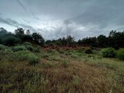 Terreno R�stico - Santana da Azinha, Guarda, Guarda - Miniatura: 1/3